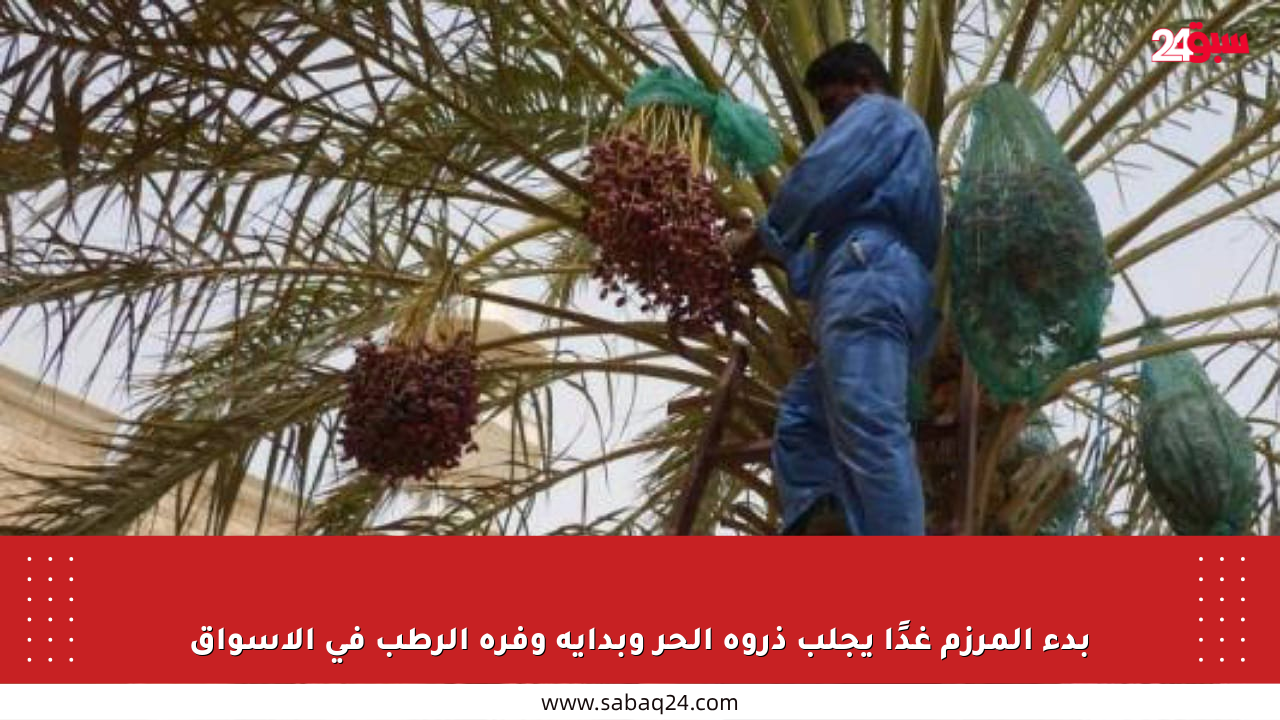 بدء المرزم غدًا يجلب ذروة الحر وبداية وفرة الرطب في الأسواق